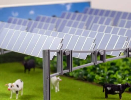 Machete Parcuri fotovoltaice – Panouri Fotovoltaice